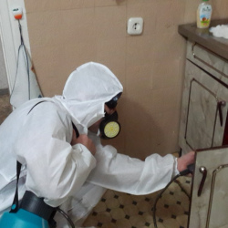 Дезинфекция от муравьев в квартире в Нагорном районе Москвы