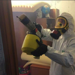 Уничтожение клопов в квартире. Нагорный район